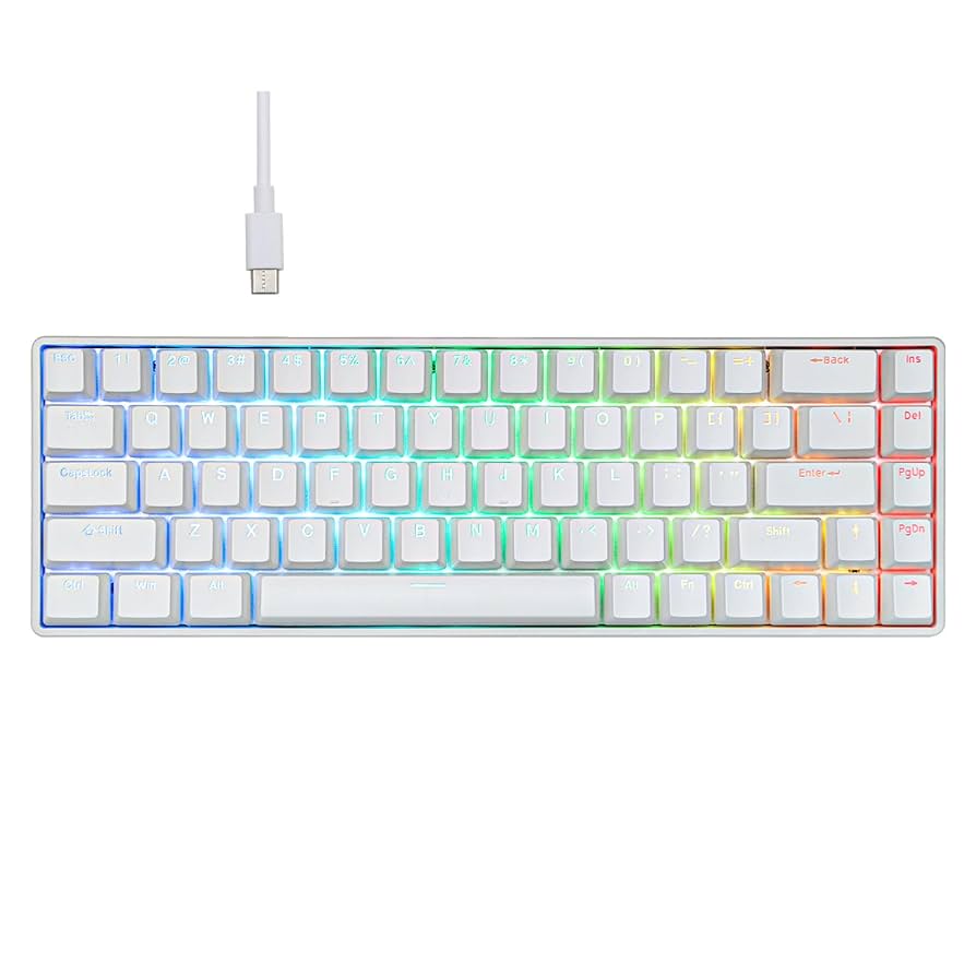 【新品・ラピトリ】VTER Fighting 68 RGB 黒色 VTER Fighting68 HE Series – epomaker